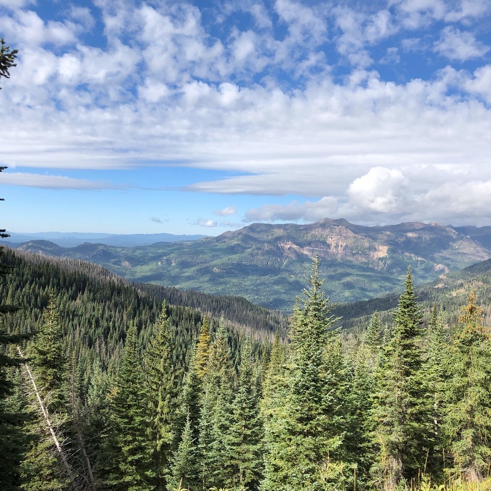 Meet your Posher, BB